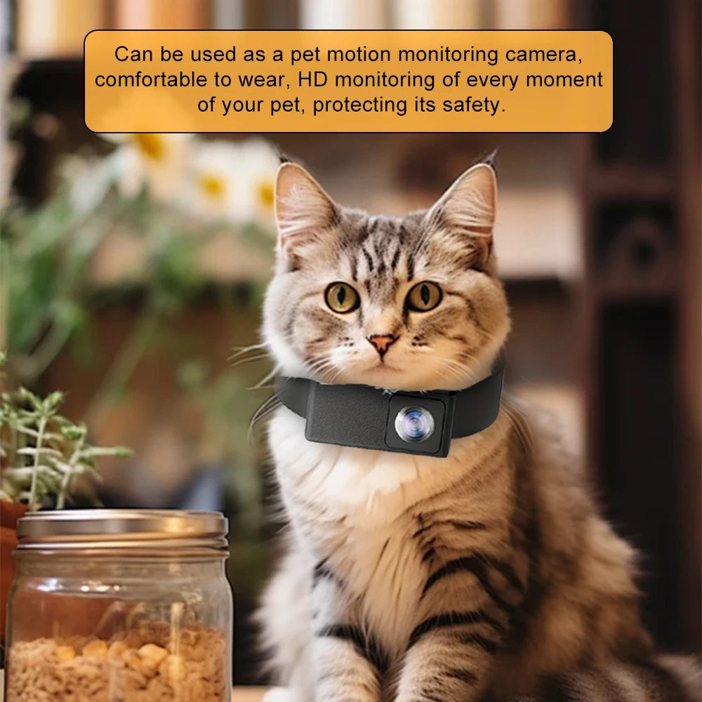 HD 1080P Pet Cameras Dog Cat Pet Camera Wireless Collar Camera No Wifi Needed Video Records for Cats Dogs Birthday Gift