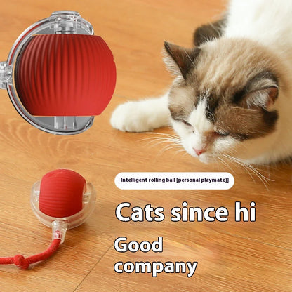 New Electric Cat Ball Toys Automatic Rolling Ball with Teaser Bird Cat Toys Pet Interactive Smart Sensor Rechargeable Cat Toys