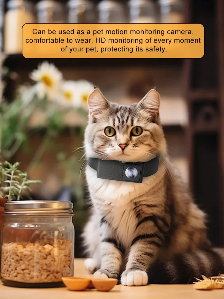 Pet Video Camera for Dogs &amp; Cats