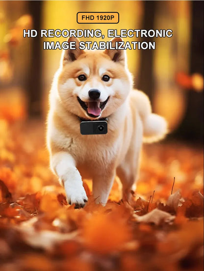 Pet Video Camera for Dogs &amp; Cats