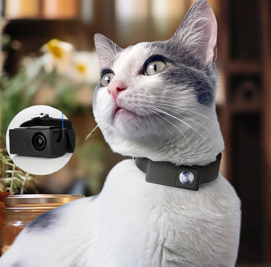 Pet Video Camera for Dogs &amp; Cats